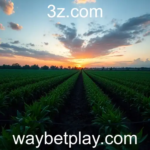 A Revolução das Apostas Digitais com Waybet